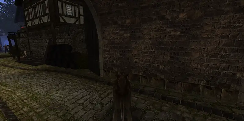Wolf transformation in Gothic 2